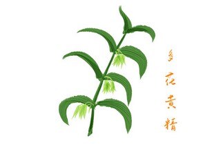 人生的诗意_人生的诗意素材积累