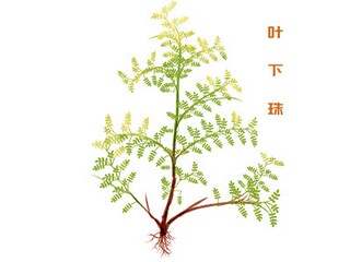 舞蹈培训合作合同