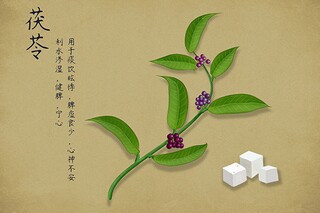 春节的散文随笔（春节随想散文）