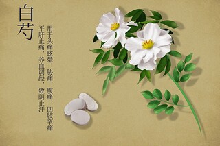 有灯有火不迷路诗歌_有灯的地方一定有路