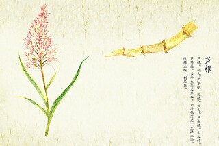 春分时节的谚语_春分相关谚语