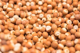 春分快乐文案_春分发的说说