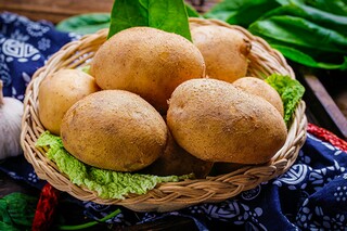 七年级上册地理教学计划（七年级上册地理教学计划范文）