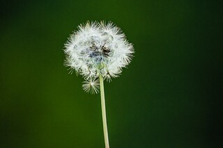 描写长江的优美古诗句_描写长江的诗句古诗大全