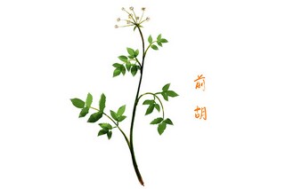 大学生青年志愿者心得体会（大学生青年志愿者心得体会800字）