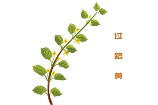 新生开学准备什么_新生开学准备什么生活用品